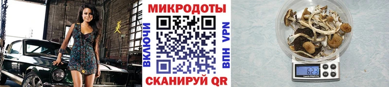 Псилоцибиновые грибы мицелий Казань