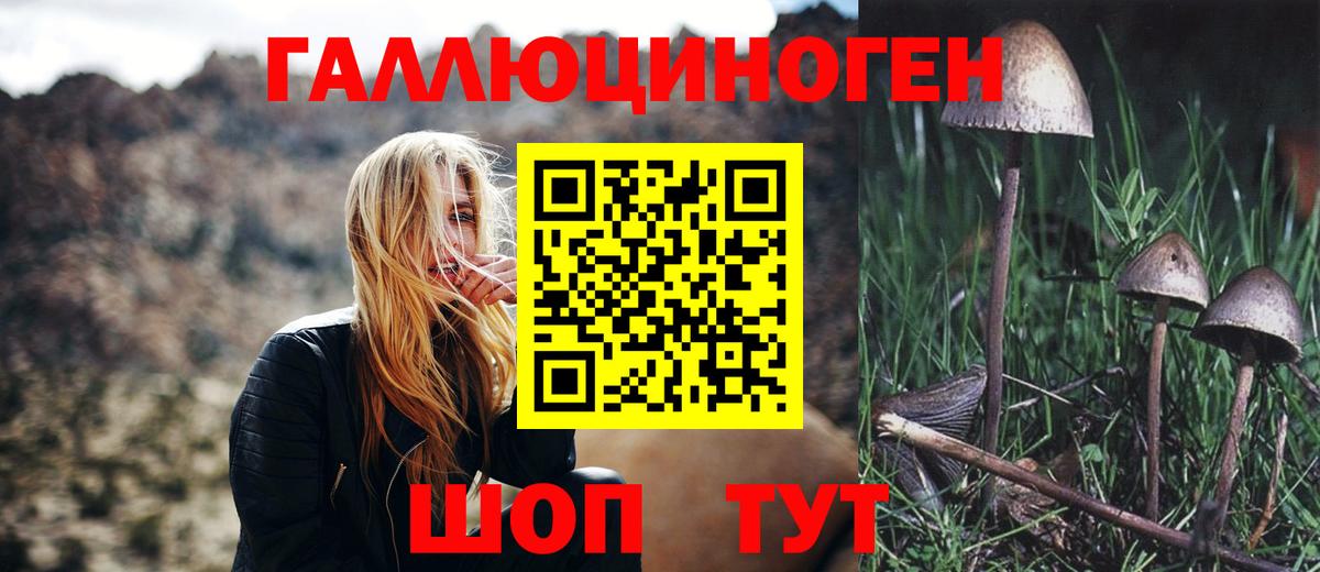Псилоцибиновые грибы мухоморы  купить  сайты  Казань 