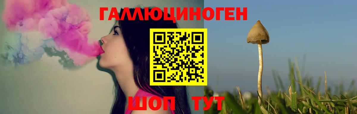 Галлюциногенные грибы мицелий Казань